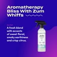 thumbnail image 3 of Zum All-Purpose Cleaner - Sea Salt, 3 of 7