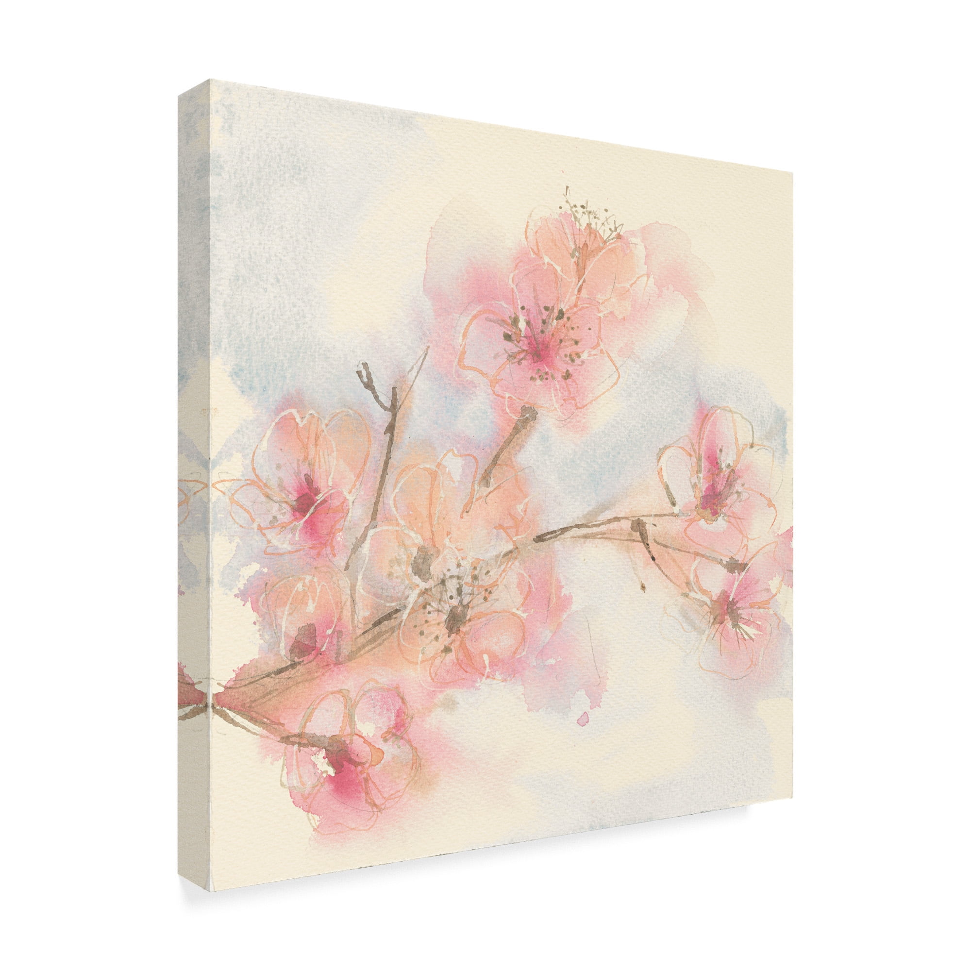 Trademark Fine Art 'Pink Blossoms II' Canvas Art by Chris Paschke