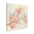thumbnail image 2 of Trademark Fine Art 'Pink Blossoms II' Canvas Art by Chris Paschke, 2 of 3
