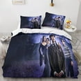 thumbnail image 2 of Wednesday Addam Duvet Cover 3 Pieces, 3d Bedding Set With Zipper Microfiber Bedding Set With Pillowcase For Adults And Children Double, 2 of 5