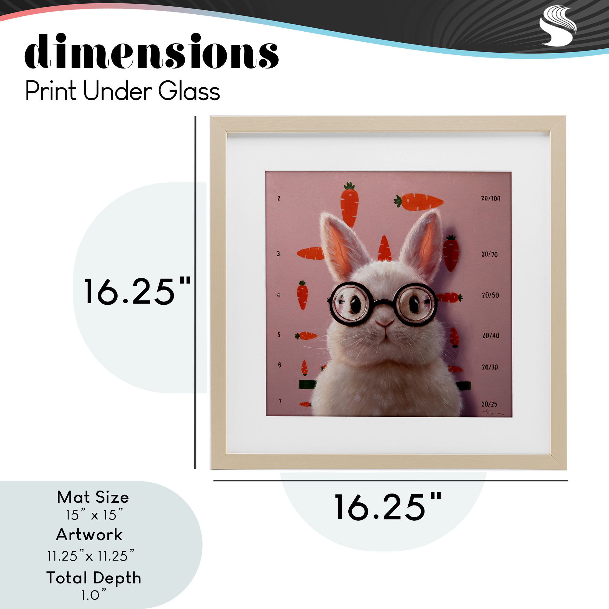 Bunny & Carrots Eye Exam Birch Framed Print Under Glass, design by Lucia Heffernan