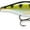 Yellow Perch, variant on Rapala X-Rap Shad 06 Crankbait Fishing Lure 2.5" 5/16oz Gold