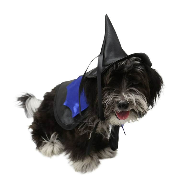 Custom Bella Canvas Halloween Witch Hat T-Shirt For Pet Lovers