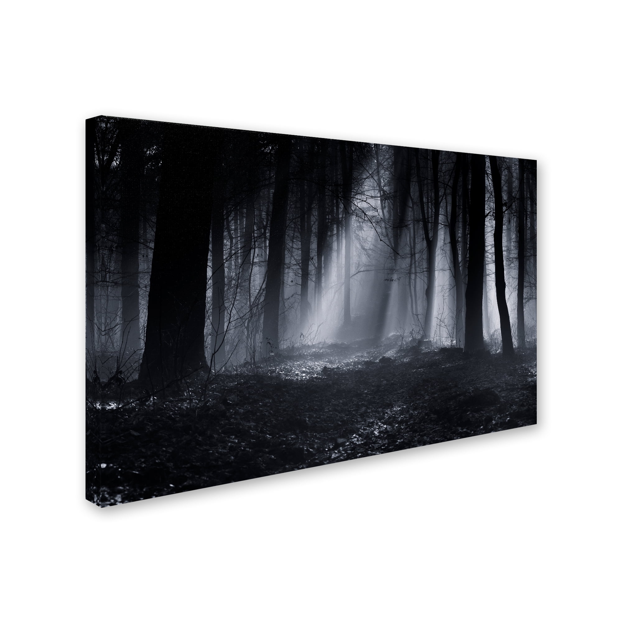 Julien Oncete 'Capela Forest' Canvas Art