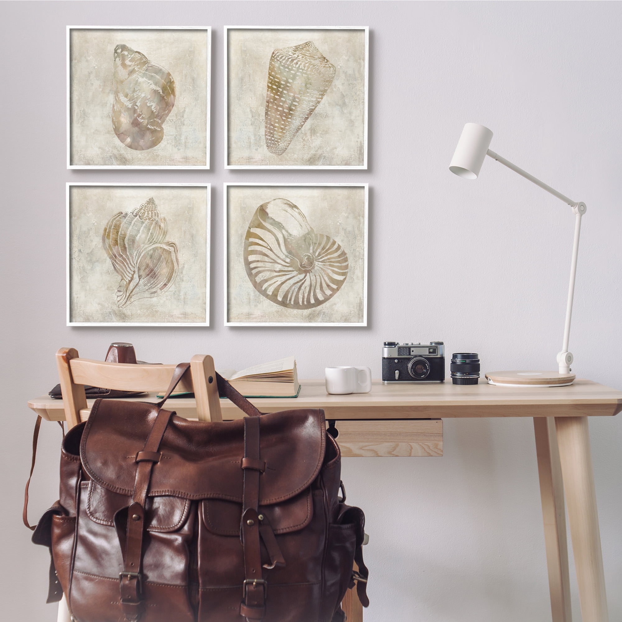 Stupell Industries Vintage Nautilus Seashells Soft Brown Patterned Aquatic Animals, 17 x 17, Design by ​Carol Robinson