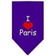 thumbnail image 5 of I Heart Paris Screen Print Bandana White Large, 5 of 9