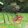 thumbnail image 1 of CATIEBYE Garden Rakes Heavy Duty Iron Green 1Set, 1 of 8