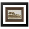 thumbnail image 2 of Giovanni Domenico Tiepolo 17x15 Black Modern Framed Museum Art Print Titled - A Boar, Galloping to the Left, and a Sleeping Sow (On the Base) (Mid-18th-Early 19th Century), 2 of 5