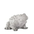 thumbnail image 4 of Urban Trends Cement Eastern  Rainfrog, 4 of 4