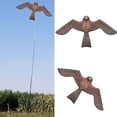 thumbnail image 3 of Bird Kite Hawk Single Line of Prey Scarer Light Weight Easy to Assemble Emulation Flying Drive Kite for Garden Yard Farm Flat Hawk Kite Free Line Rig Protect Farmers Crops Effectual, 3 of 8