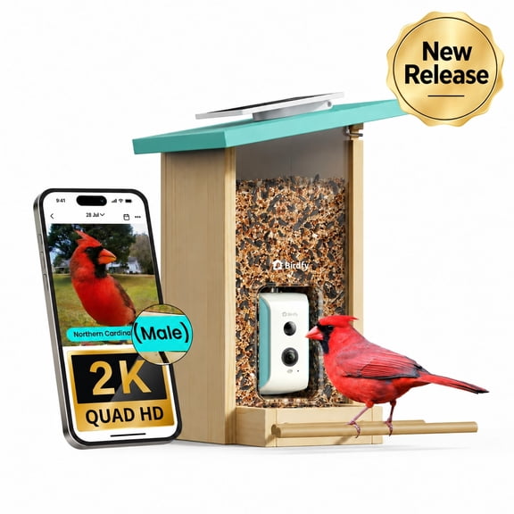 Birdfy Smart Bird Feeder with Camera, Solar Powered Bird Camera Feeder with AI Bird Identification, 2.4GHz & 5GHz WiFi, Smart Bird Watching Gift for Bird Lovers, Cyan