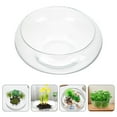 thumbnail image 2 of EeaseCA Glass Planter Pot Glass Succulents Pot Small Flowerpot Small Planter Container Clear Fish Bowl, 2 of 8