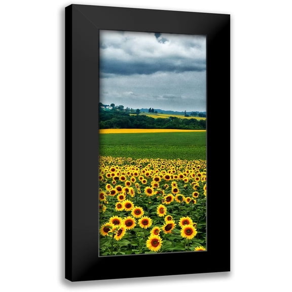 Chester, Colby 8x14 Black Modern Framed Museum Art Print Titled - Pastoral Countryside IV - C