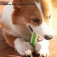 thumbnail image 4 of Pet Toy Training Exquisite Durable Bone Shape Pet Dog Teeth Grinding Interactive Toy, 4 of 5