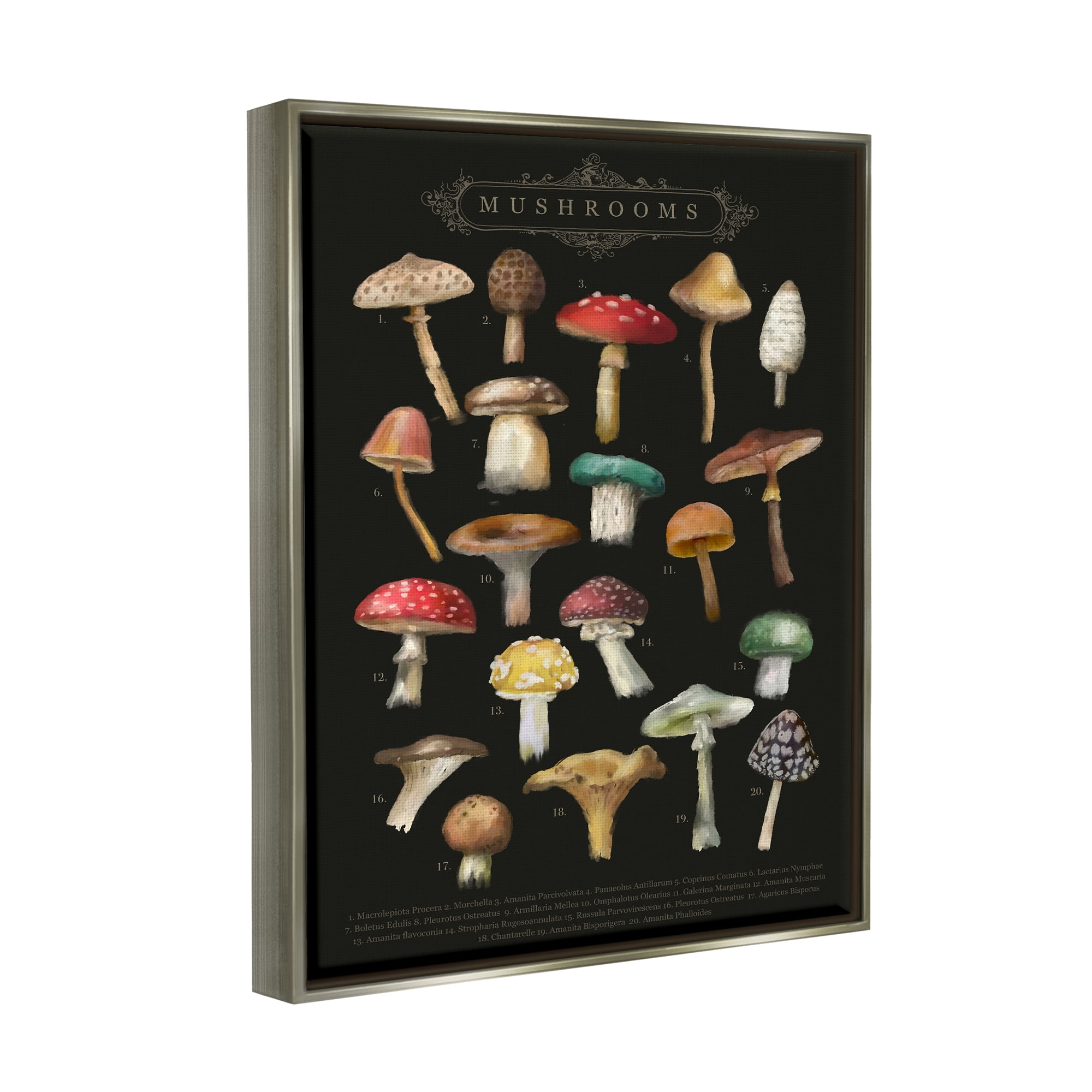 Stupell Industries Dark Informative Mushroom Chart Landscape Painting Gray Floater Framed Art Print Wall Art
