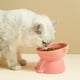 thumbnail image 5 of Comedero elevado de cerámica para gatos | Gran capacidad de 250 ml | Diseño ancho y poco profundo para aliviar la fatiga de los bigotes y brindar soporte al cuello | Comedero y bebedero fácil, 5 of 6