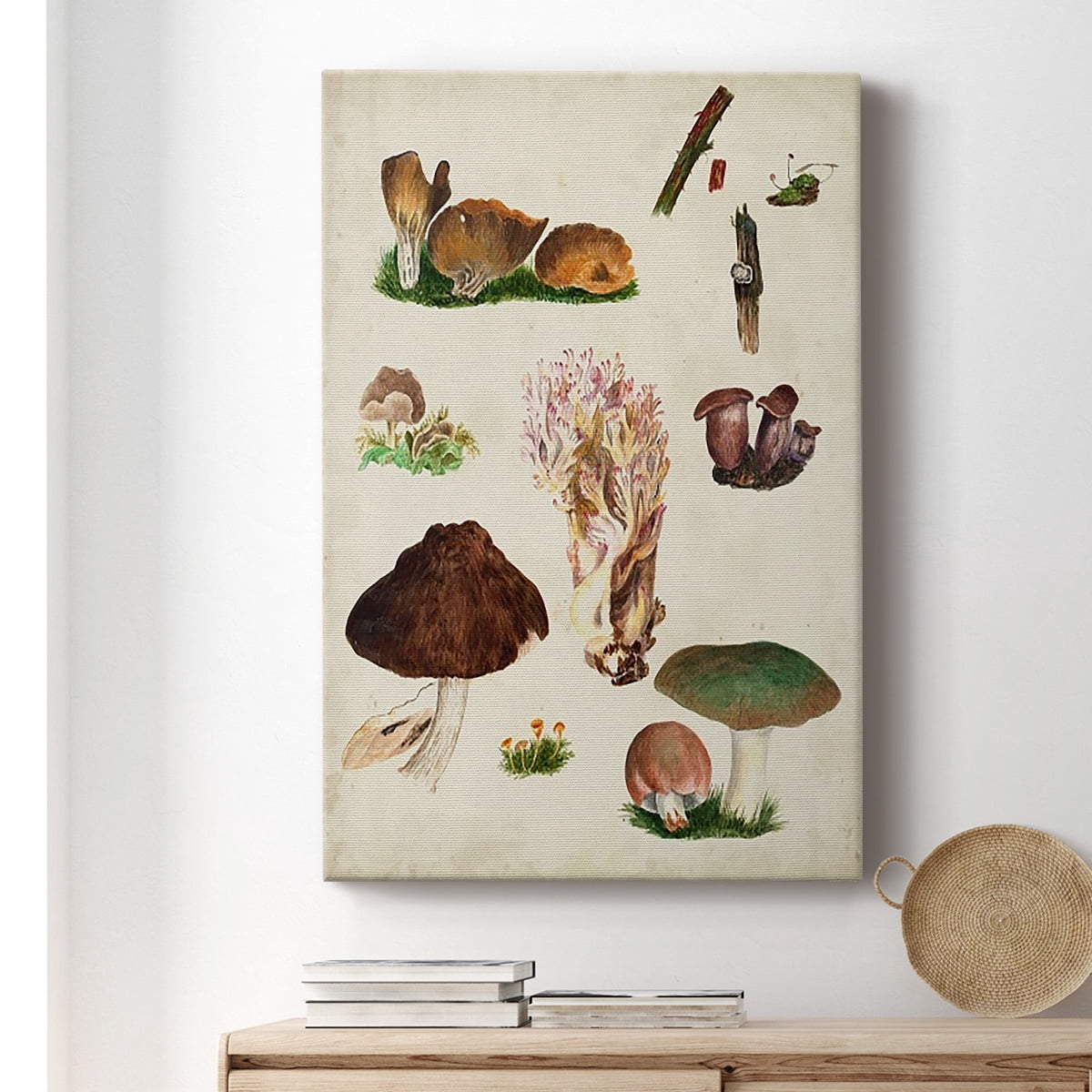 Mushroom Species IX Premium Gallery Wrapped Canvas - Ready to Hang