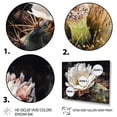 thumbnail image 3 of Designart "White Green Cactus Flower II" Floral Cactus Wall Art For Kitchen, 3 of 5
