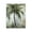 Palm Tree Rainforest Misty Sky, variant on Stupell Industries Transitional Fanned Palms Impression Canvas Art, 16 x 20, by Nan