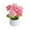 Forget-Me-Not Pink, variant on AYktou Crochet Flowers Potted Plants Home Ornament Potted Crochet Woven Flowers