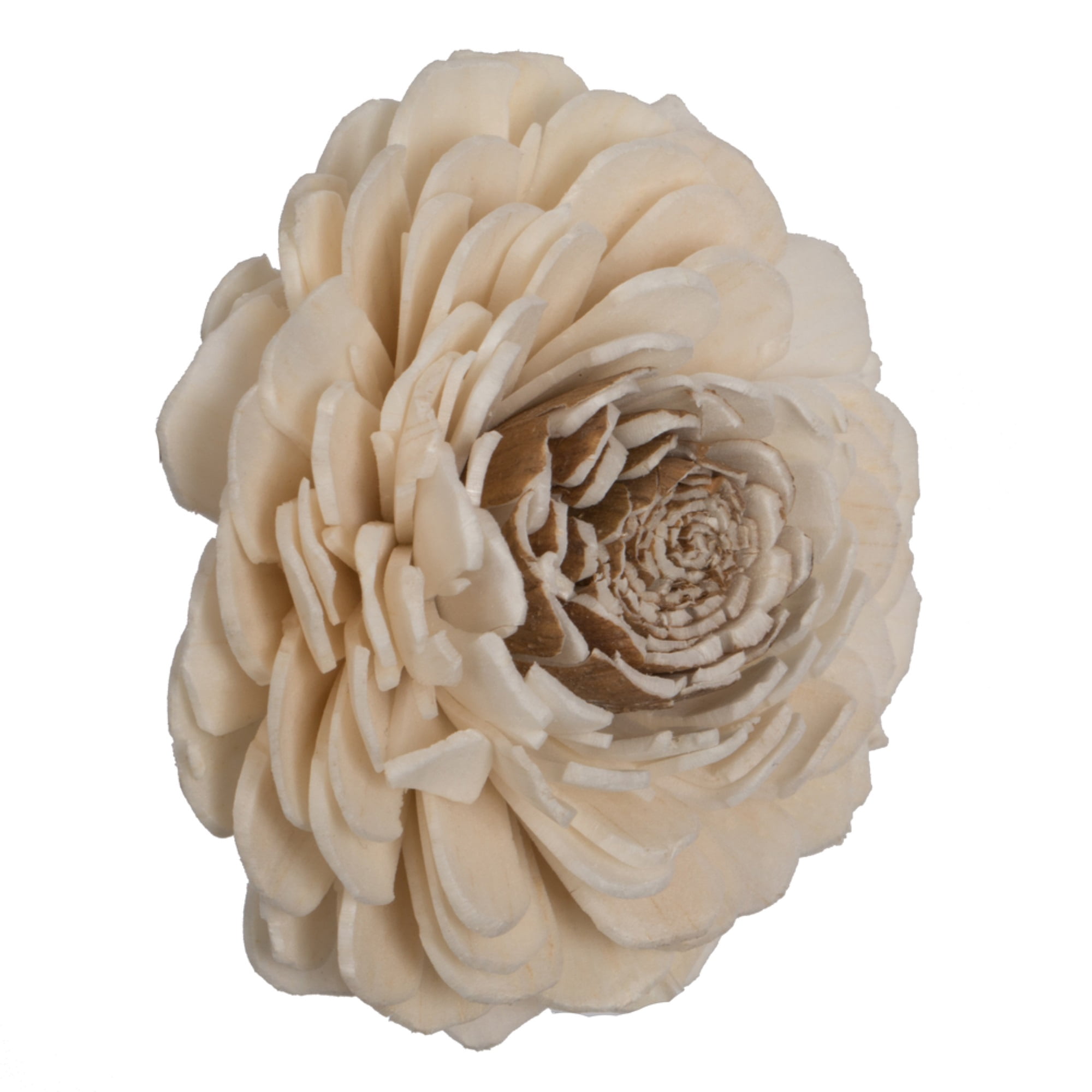 Vickerman 686256 - 1-3" Assorted Charki Sola Head 24/bg (H7SFL006) Dried and Preserved Flowers