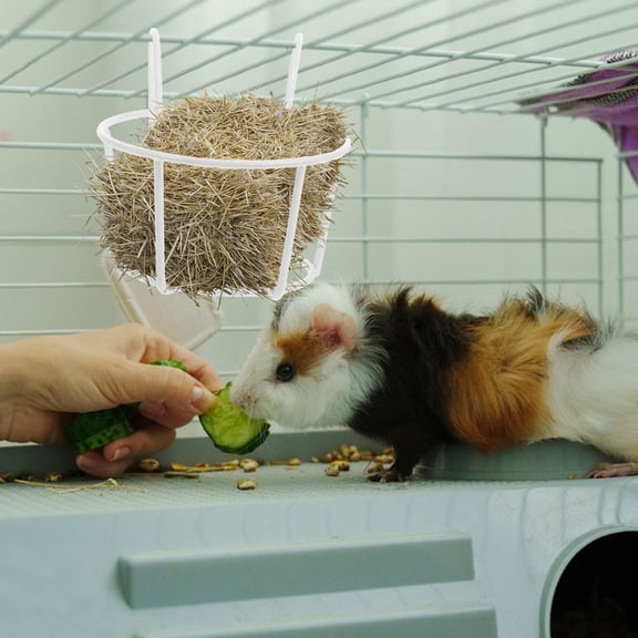 Niceauty Guinea Pig Hay Feeder Stand Versatile Use Hay Feeder Rack White Iron 1Pack