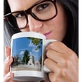 thumbnail image 2 of 3dRose, Cienfuegos, Cuba, Jose Marti Square and statue - CA11 BBA0527 - Bill Bachmann, 11oz Magic Transforming Mug, 2 of 8