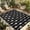 Black, variant on Starfish Navy Outdoor Rug for Patio/Deck/Porch, Non-Slip Large Area Rug 5 x 7 Ft, Blue Coastal Ocean Summer Sea Beach Indoor Outdoor Rugs Washable Area Rugs, Reversible Camping Rug Carpet Runner