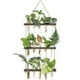 thumbnail image 2 of Jarrones de tubo de ensayo Propagador de plantas hidropónicas Terrario Simple Elegante Estación de propagación de plantas de 3 niveles para habitación Oficina Balcón Marrón Inevent HA011384-01B, 2 of 7