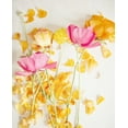 thumbnail image 2 of Susannah Tucker Photography 20x24 White Modern Wood Framed Museum Art Print Titled - Happy Daydream 5, 2 of 4