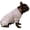 B Gray, variant on KYEESE Dog Pajamas, Blue Floating Duck Pattern Dog Pjs, Dog Pajamas for Small Dogs, S