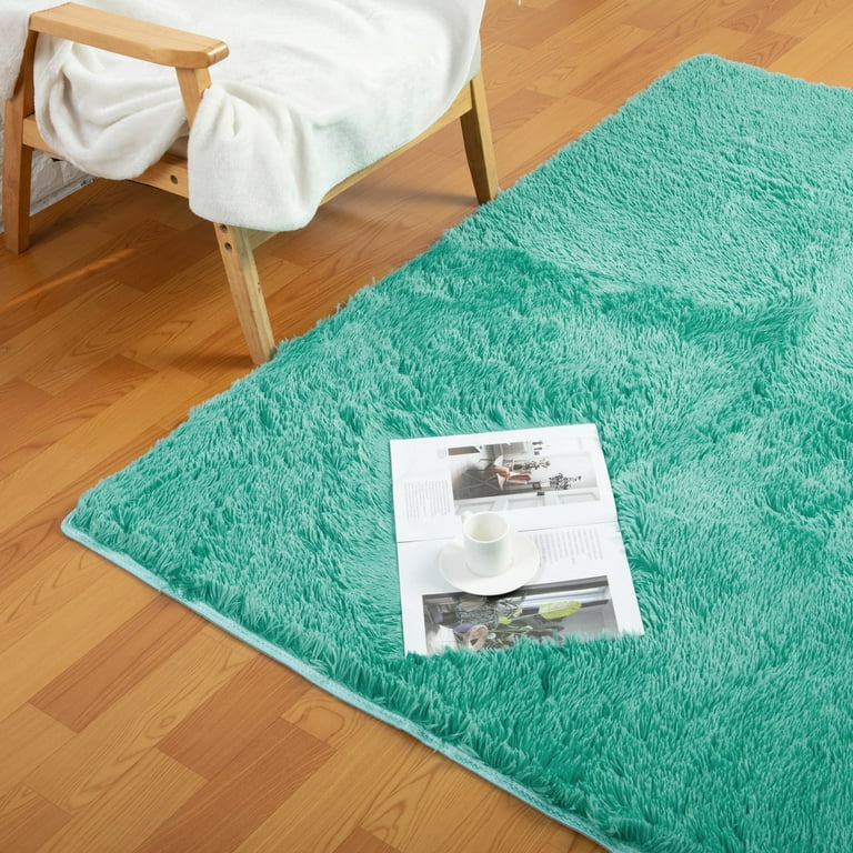 Youloveit Soft Shaggy Area Rug Comfy Rugs Shaggy Living Room Bedroom Area Rugs Anti-Skid Fur Shaggy Carpet Non-Slip Plush Area Rug for Living Room