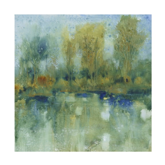 Tim OToole 'Pond Reflection I' Canvas Art
