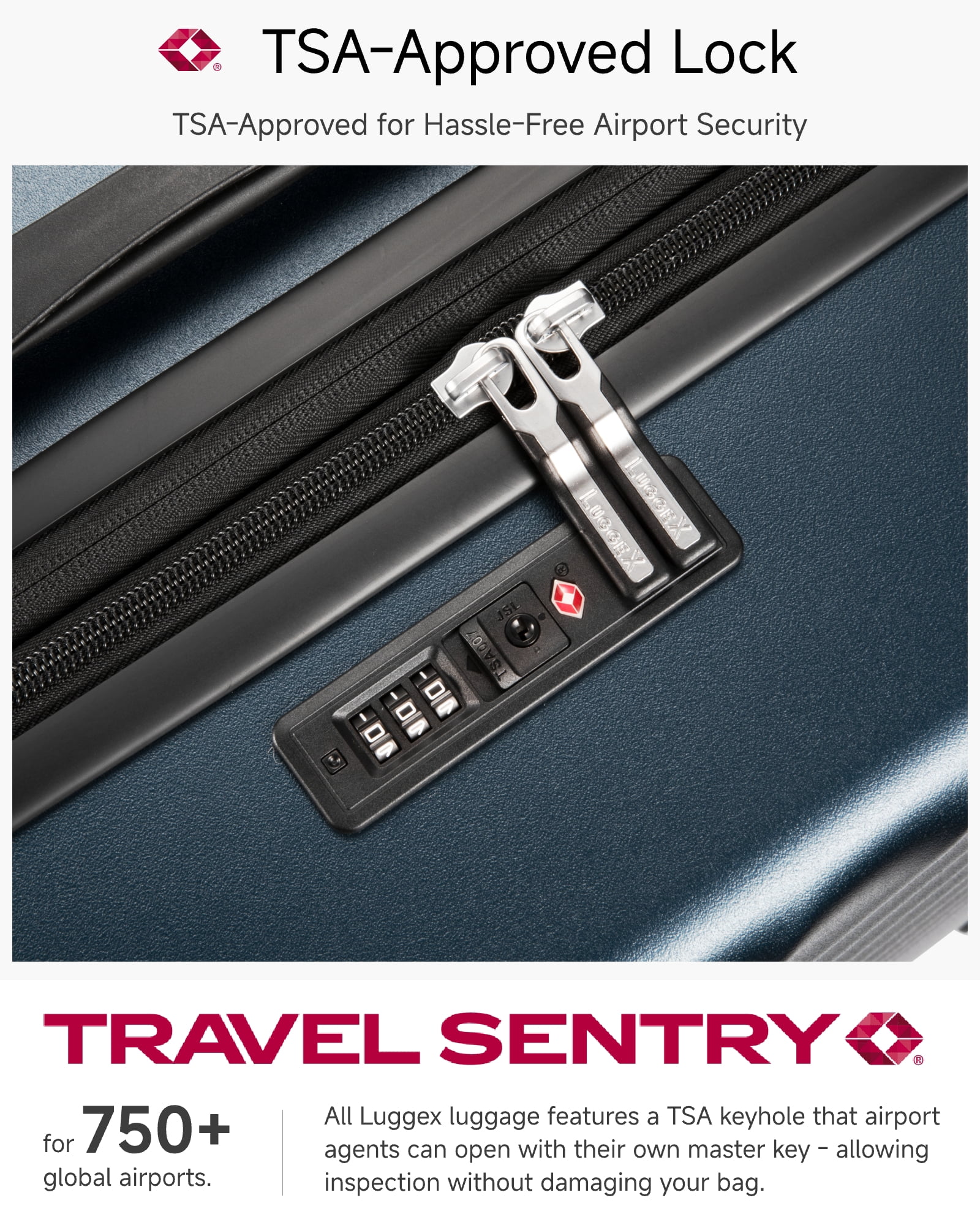 21" Carry On Expandable Hardside Spinner Suitcase with TSA Lock,Charcoal Metallic
