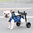 thumbnail image 3 of XS/S/M Adjustable Hind Limb Hind Leg Disabled Pet Cat Dog 2023 D2J7, 3 of 8