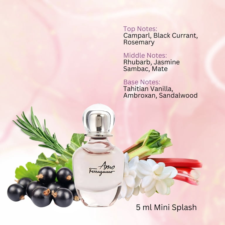 Ferragamo Fragrance Set at Nordstrom Rack