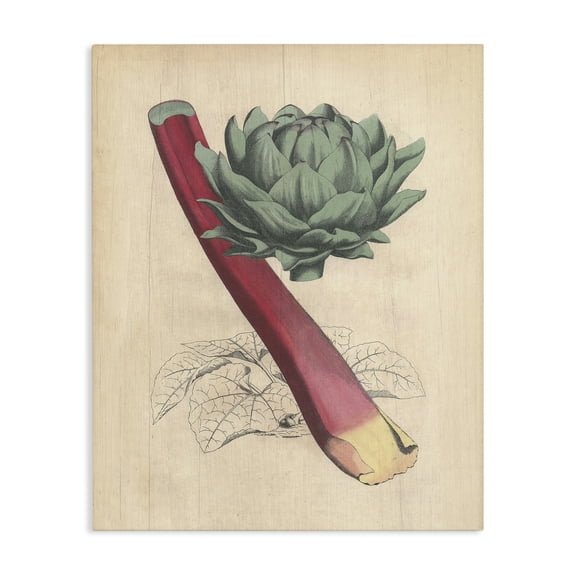 Stupell Industries Shabby Chic Vintage Vegetable Studies Canvas Art, 16 x 20, by Lil' Rue