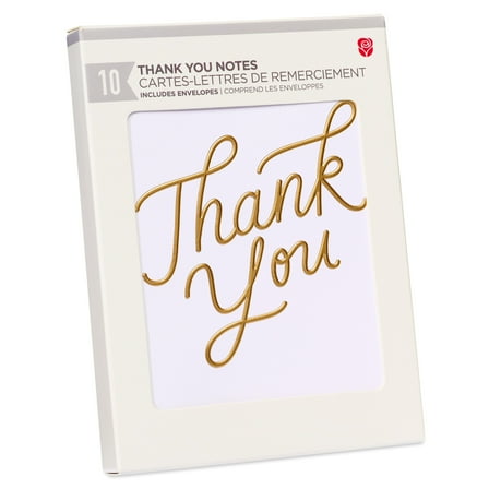 American Greetings Thank You Card Stationery Notes, Gold Sript (10-Count)