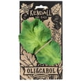 thumbnail image 2 of Juguete de dentición Oli & Carol Kendall The Kale para bebé, 2 of 7