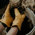 thumbnail image 3 of Barebones Classic Work Glove, 3 of 5