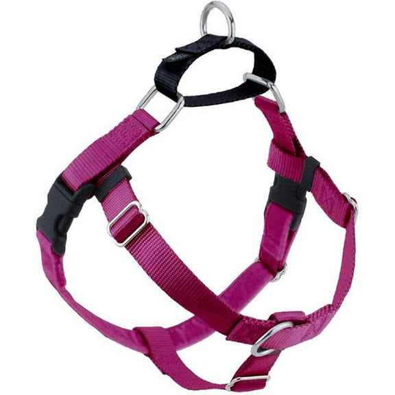 2 Hound Design Freedom No Pull Dog Harness 1" Medium Raspberry