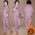 thumbnail image 3 of Traje nuevo de Otoño Invierno para mujer, Tops gruesos de felpa con capucha, chaleco, pantalones, 3 conjuntos de tres piezas, ropa de mujer de talla grande a la moda, 3 of 5