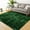 Green, variant on Fluffy Area Rug, Modern Abstract Fluffy Area Rug Indoor Soft Area Rug Faux Area Rug for Bedroom Living Room,Black,8' x 10'