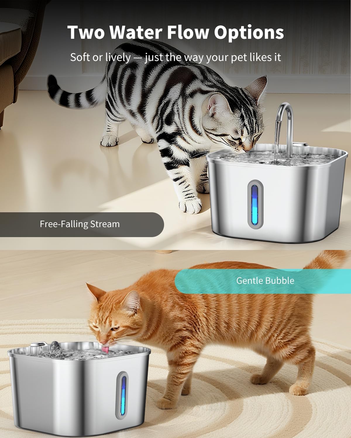 Cat Water Fountain Stainless Steel, 74oz/2.2L Cat Fountain with Quiet Pump, Automatic Pet Water Dispenser, Ideal for Multi-pet Homes, Fresh & Clean Water for Cats and Dogs