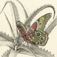 thumbnail image 2 of Liama, Lily 20x20 Gold Ornate Wood Framed with Double Matting Museum Art Print Titled - Majestic Butterfly III, 2 of 4
