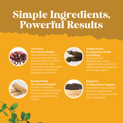 Nature’s Craft Organic Irish Sea Moss Capsules for Immune Support and Thyroid Support, 90 Count