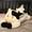 Black, variant on TOOLGOOD Cow Weighted Stuffed Animals - 35.4 Inch Weighted Plushies Cow Stuffed Animals - Big Plush Pillow - Cute Plush Toys Gifts for Kids & Adults, Brown