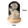 thumbnail image 2 of Cubierta de cristal de hortensia de diente de león de flor eterna que brilla en todo el cielo adornos de ramo regalos. Zhivalor BST3003465-3, 2 of 6