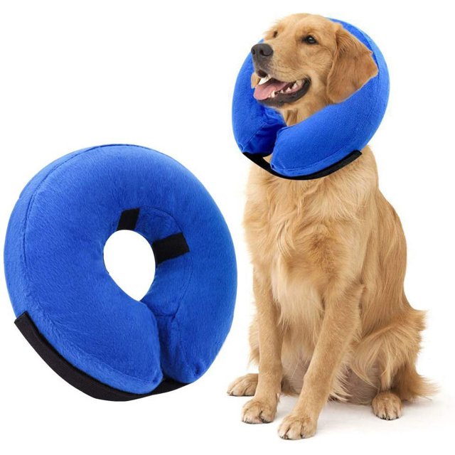 Collar inflable de cono para perro después de la cirugía, Collar protector suave de recuperación para mascotas, evita que los perros y gatos muerdan y arañen