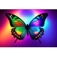 thumbnail image 4 of Stephen Chambers 24x17 White Modern Wood Framed Wall Art Titled - Unreal Neon Butterfly, 4 of 6